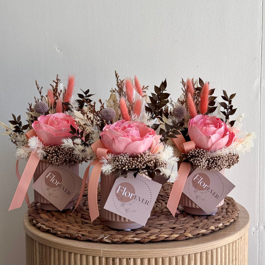 Mini 'Coral' arrangement